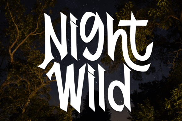 Night Wild: The Handwritten Typeface That Brings Warmth to Editorial Design