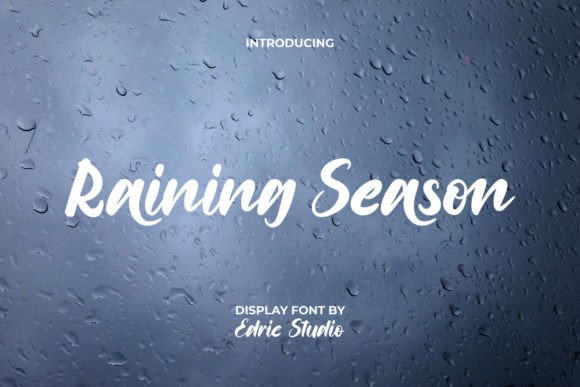 Raining Season: A Designer's Verdict on This Script Amp Typeface