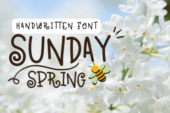Why Sunday Spring Is the Perfect Typeface for Your Brand